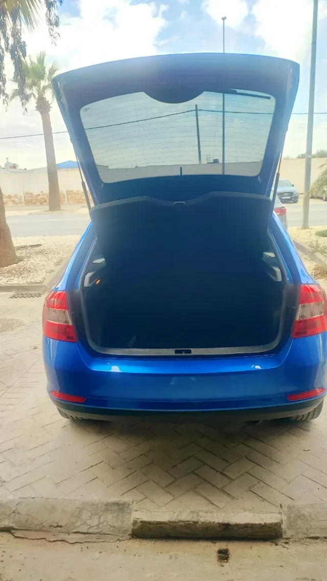 SKODA Spaceback 1.6 TDI Ambition GreenTec